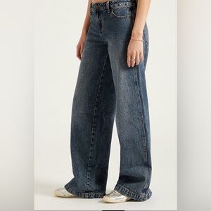 Pacsun Casey Low Rise Baggy 31